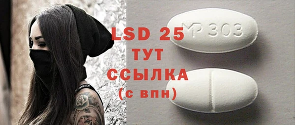 индика Магас