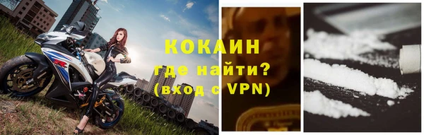 индика Магас