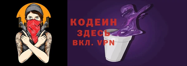 индика Магас