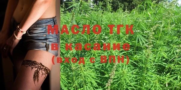 индика Магас
