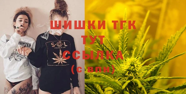 индика Магас