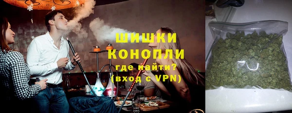 индика Магас