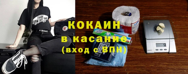 индика Магас