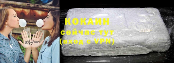 индика Магас